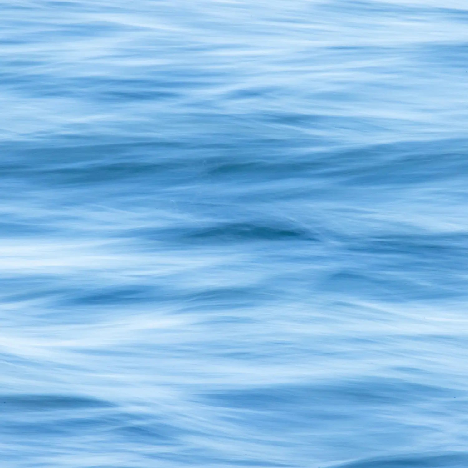 Ocean